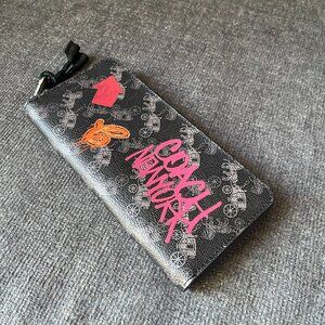 Coach Slim Accordion Zip Wallet Horse & Carriage Print Multi F87927 NWT